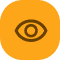vision icon